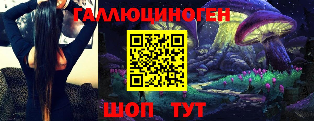 Галлюциногенные грибы Psilocybine cubensis Унеча
