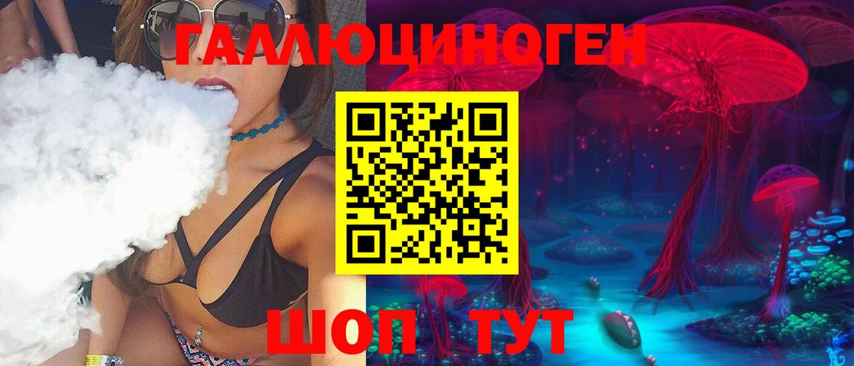 Унеча  Псилоцибиновые грибы прущие грибы  Вход с VPN 